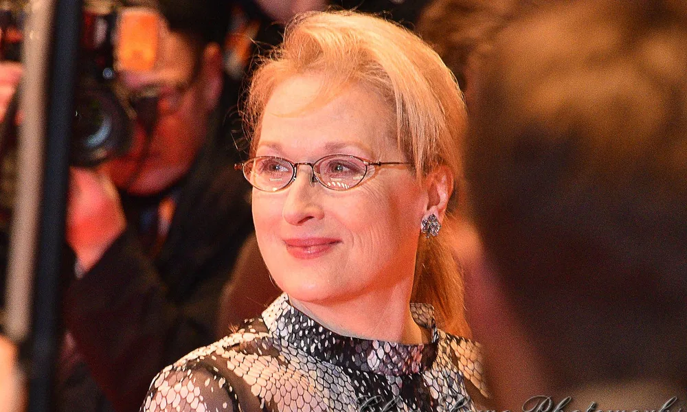 Henry Wolfe: The Full Story of Meryl Streep’s Talented Son